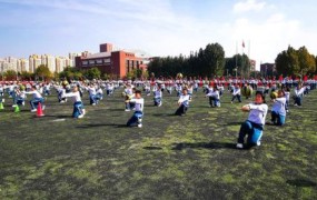 排球知识及规则大全最新足球规则反恐精英2官方网站羽毛球