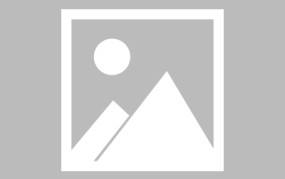 排球知识及规则大全最新学校学生篮球赛圆满落幕信息csgo比分网蜂鸟电竞电竞之战csgo
